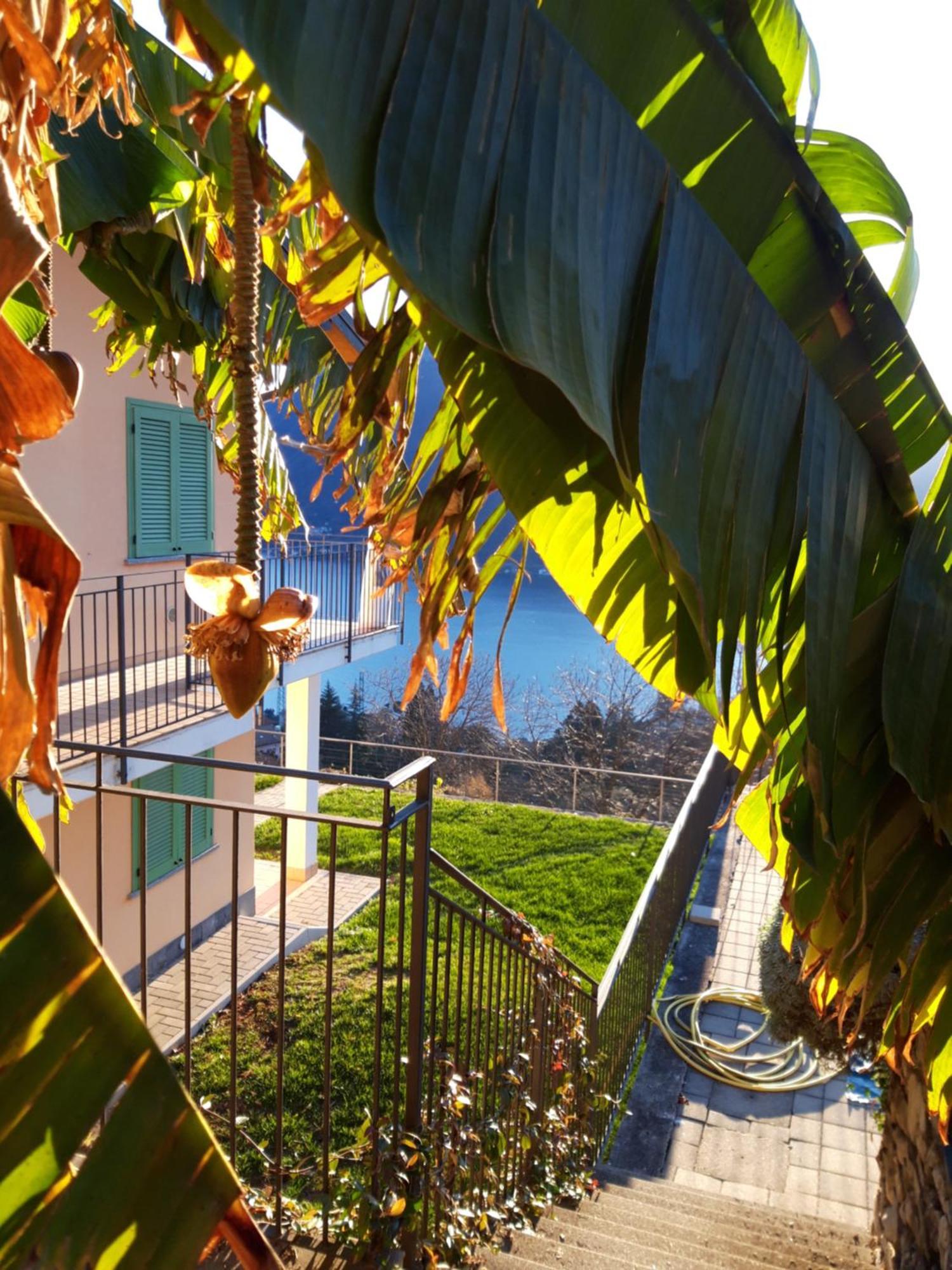 Apartamento Montagna Del Sole W/ Pool Muronico Exterior foto